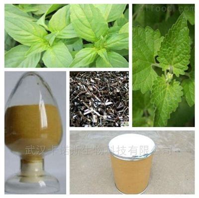 植物提取物 自然精華的多維應用與未來前景